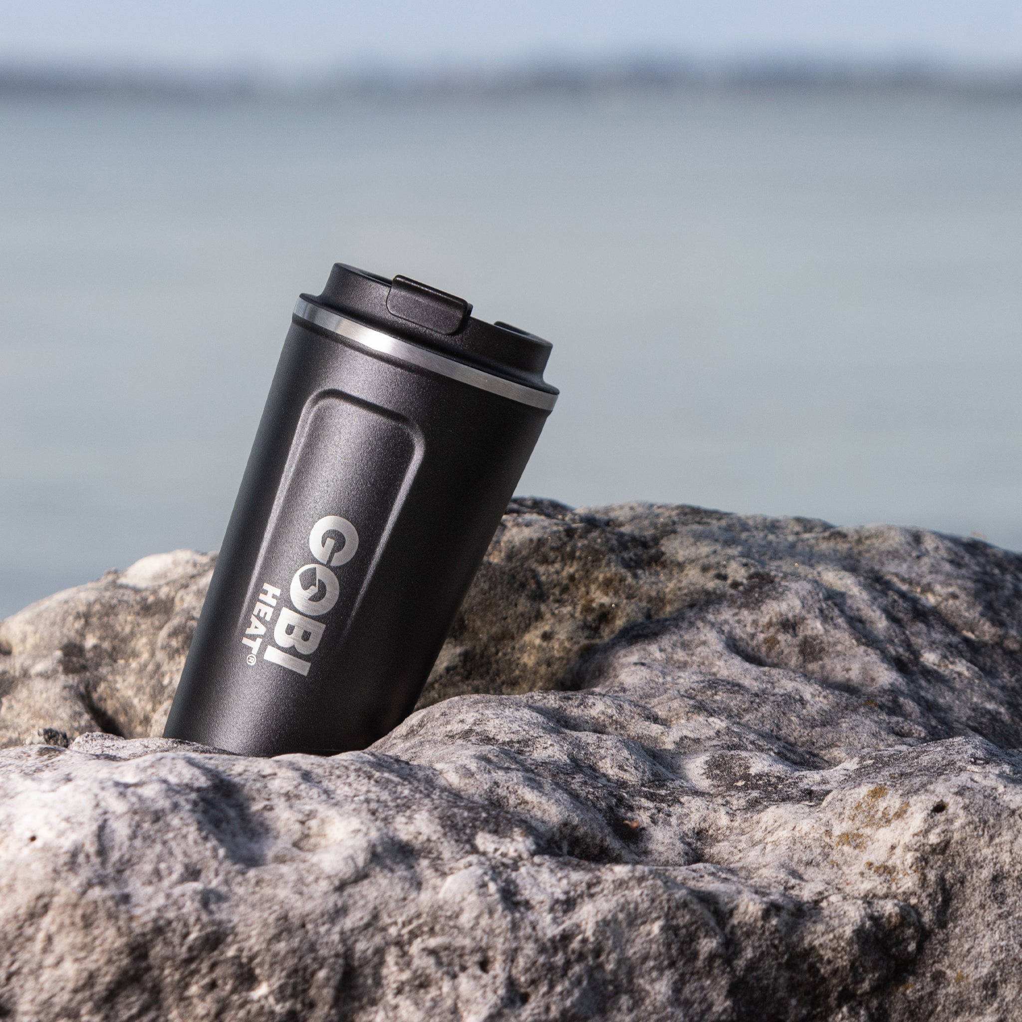 17oz Stainless Insulated Mug - Gobi Heat